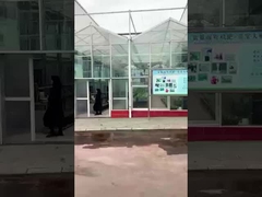 L'usine d'acides aminés Shihong du Sichuan - Lulu