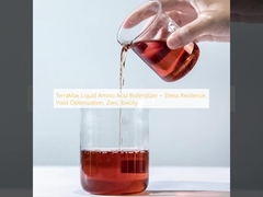 TerraMax Biofertilisant à acides aminés liquides ️ Résistance au stress, optimisation du rendement, zéro toxicité