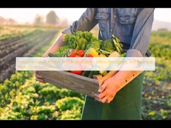 Biofertilisant à base d'acides aminés liquides EcoGrow, résistant au stress, renouvellement du sol, agriculture à haut rendement
