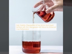 Oligopeptide à haute stabilité et engrais liquide à acides aminés libres avec zinc, manganèse et silicium pour améliorer les rendements des cultures