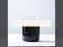 AminoCal-B Liquide de calcium-bore avancé avec transporteurs d'acides aminés pour améliorer l'élargissement des fruits et l'absorption des nutriments
