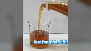 Augmenter les rendements de fermentation produit des protéines de soja enzymatiques