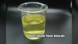 Protéine végétale hydrolysée HVP Premium Umami Enhancer