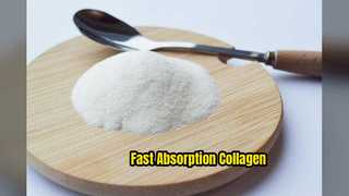 Peptide de collagène 3000 Da Absorption rapide