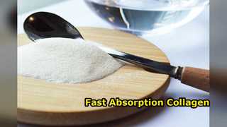 Peptides de collagène purs à absorption rapide 3000 Da