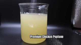 Peptone de poulet de qualité biologique