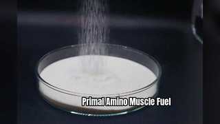 Récupération de la croissance des muscles aminés primordiaux