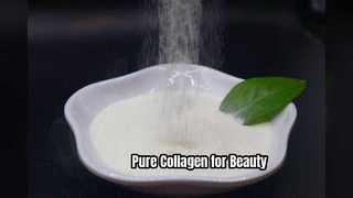 Peptides de collagène purs pour la peau et les articulations