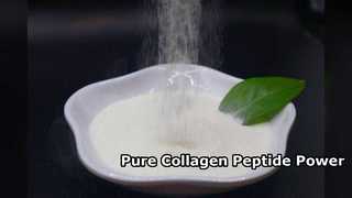 Peptide de collagène pur à 90 % de qualité alimentaire.