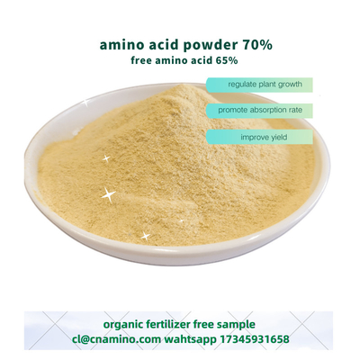 Foliar Amino 70% With Free Amino Acid 65% Agriculture Fertilizer Powder Form For Farming Plants
