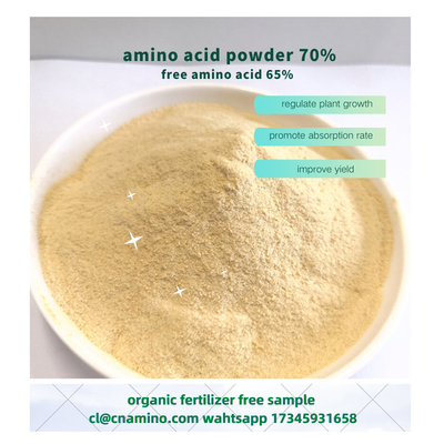 Foliar Amino 70% With Free Amino Acid 65% Agriculture Fertilizer Powder Form For Farming Plants
