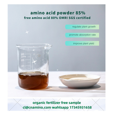 Soy Protein Hydrolysate Organic Nitrogen Fertilizer Amino Acid 85% NPK 16-0-0