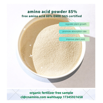 Soy Protein Hydrolysate Organic Nitrogen Fertilizer Amino Acid 85% NPK 16-0-0