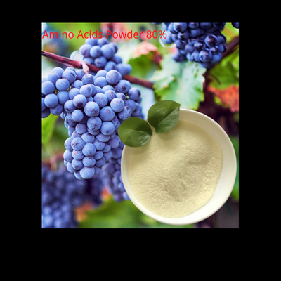 New Compound Enzymolysis Amino Acids Powder Solid Small Peptides Organic Fertilizer