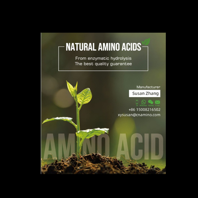 New Compound Enzymolysis Amino Acids Powder Solid Small Peptides Organic Fertilizer