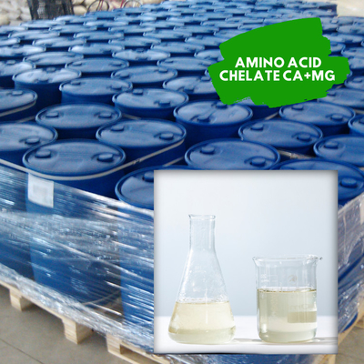 Fruits Foliar Amino Acid Liquid Fertilizer Amino Acid Chelate Calcium Magnesium