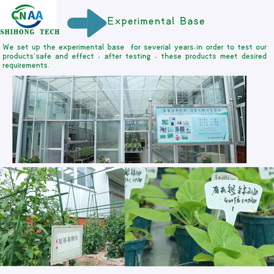 60% Vegetable Amino Acid Organic Fertilizer For Agriculture Nutrients Supplement