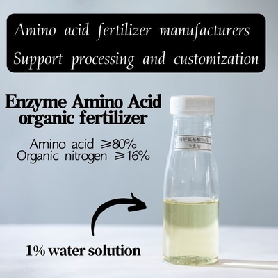 Soybean Protein Based Enzyme Amino Acid 80%
