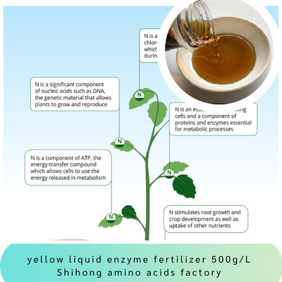 Enzyme Acid Liquid Fertilizer Amino Acid Pepetides 500g/L OMRI 8-0-0