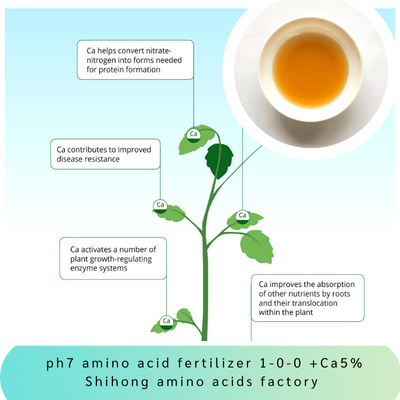 Yellow Enzyme NPK 1-0-0 +5% Calcium Organic Nitrogen Amino Acid Chelate Fertilizer