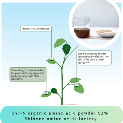 Ph7-9 Amino Acid Fertilizer Powder 52% Alkaline No Caking Water Soluble
