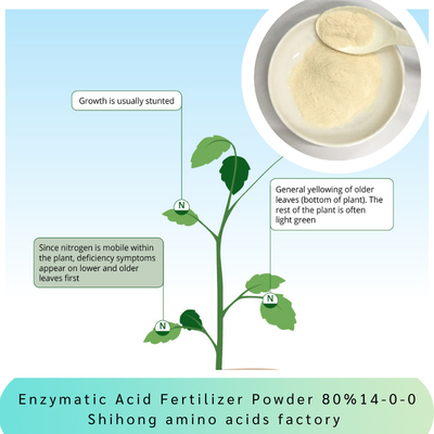 Enzymatic Acid Fertilizer Powder Amino Acid 80% Ph5-7 NPK 14-0-0 Plant Biostimulant