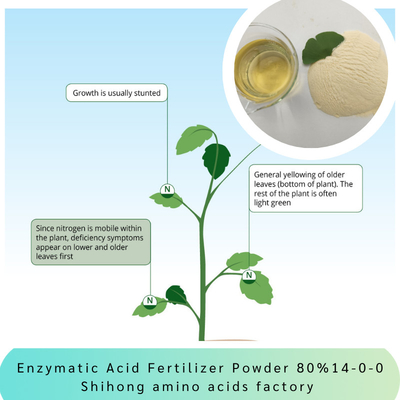 Enzymatic Acid Fertilizer Powder Amino Acid 80% Ph5-7 NPK 14-0-0 Plant Biostimulant