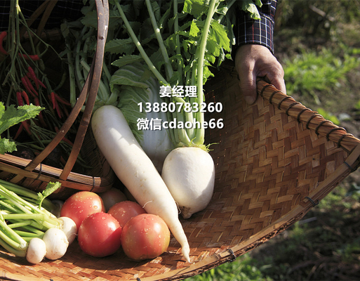 Organic OMRI Certified Amino Acid Fertilizer 16-0-0, PH 4.0-6.0, 80% Amino Acid Content