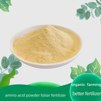 Completely Water Soluble Amino Acid Foliar Fertilizer Top Dressing 20kg/bag