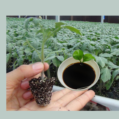 Amino Acid Chelated Cu Fe Zn Mn B Mu Amino Acid Liquid Fertilizer