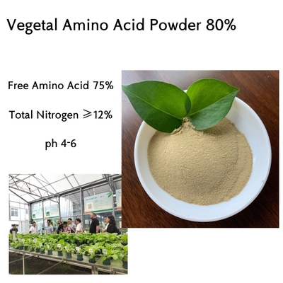 Ph4-6 Amino Plus Foliar Fertilizer Amino Acid Fertilizer 80% Orgnaic Nitrogen14% Chloride Free 65072-01-7