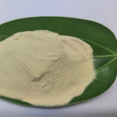 Pharmaceutical Grade 80% Purity Amino Acid Powder for Nutritional Supplement Applications