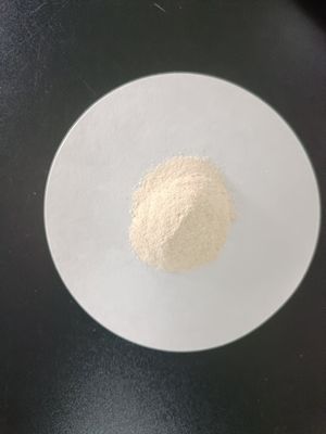 Enzymatic Hydrolyzed Soy Protein Powder: Advanced Organic Nitrogen Substrate for Industrial Fermentation