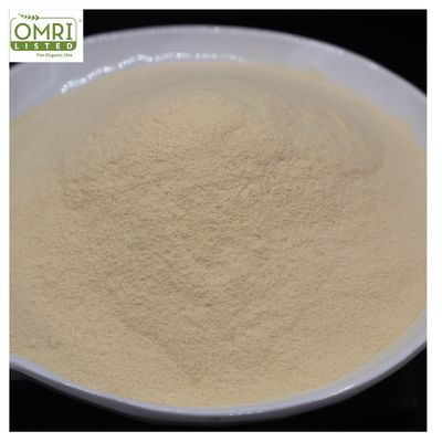 OMRI-Certified Non-GMO Enzymatic Hydrolyzed Soy Protein Powder with High Amino Acid Bioavailability for Industrial Fermentation