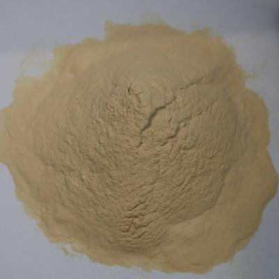 High-Purity Enzymatic Hydrolyzed Soy Protein Powder with 80% Amino Acid Content for Enhanced Fermentation Efficiency