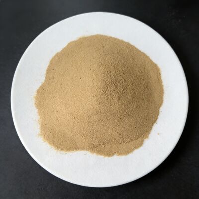 40% Amino Acid Powder Fertilizer Water Soluble Plant Amino Acid Supplement Enhances Nutrient Transport