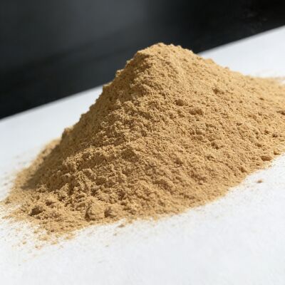 40% Amino Acid Powder Fertilizer Water Soluble Plant Amino Acid Supplement Enhances Nutrient Transport