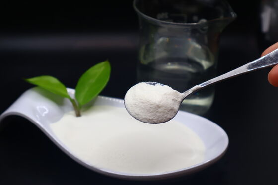 Plant Based Enzyme Amino Acid Supplement for Enhanced Protein Digestion and Optimal Nutrient Absorption