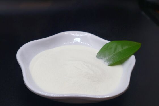 Hydrolyzed Collagen Peptides with 300-3000 Daltons Molecular Weight, 36 Months Shelf Life, and Low Heavy Metals (<10 Ppm) for Health and Cosmetic Applications