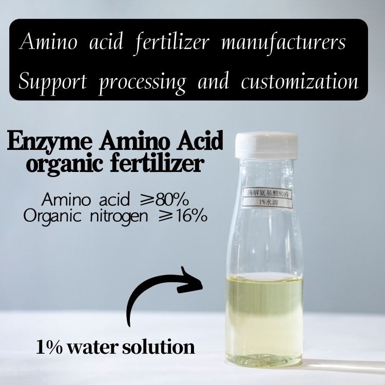Soybean Protein Based Enzyme Amino Acid 80%