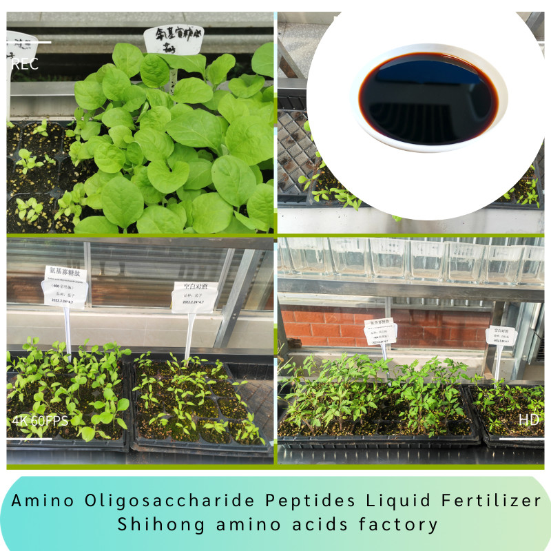 Amino Oligosaccharide Peptides Liquid Fertilizer PH5-7 For Crops Foliar Spray Anti Stress