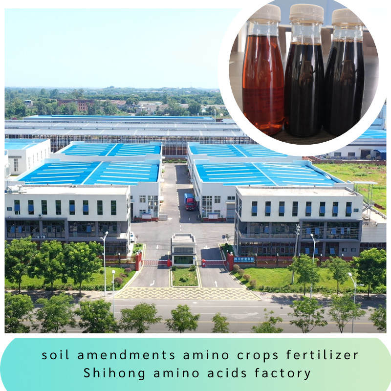 Ph4-6 PH3-5 PH5-7 Ph7-9 Amino Acid Liquid Fertilizer 300g/L-500g/L Sgs For Plants Foliar