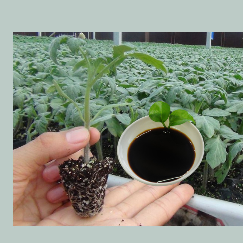 Amino Acid Chelated Cu Fe Zn Mn B Mu Amino Acid Liquid Fertilizer