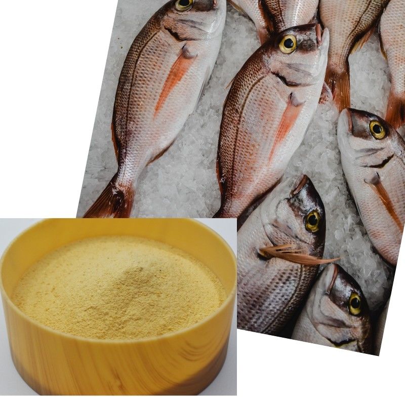 Marine-Source 82% Peptide-Rich Amino Acid Powder - 100% Water Soluble Organic Fertilizer and Bio-Stimulant for High-Value Crops