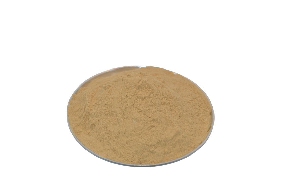 ULTRA-PURE AMINO ACID 90% POWDER Plant-Based Biostimulant