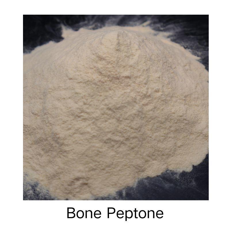 Enzymatic Hydrolysis Shihong-Peptone N 15% Yellow Powder Natural Biostimulant Fertilizer Raw Material