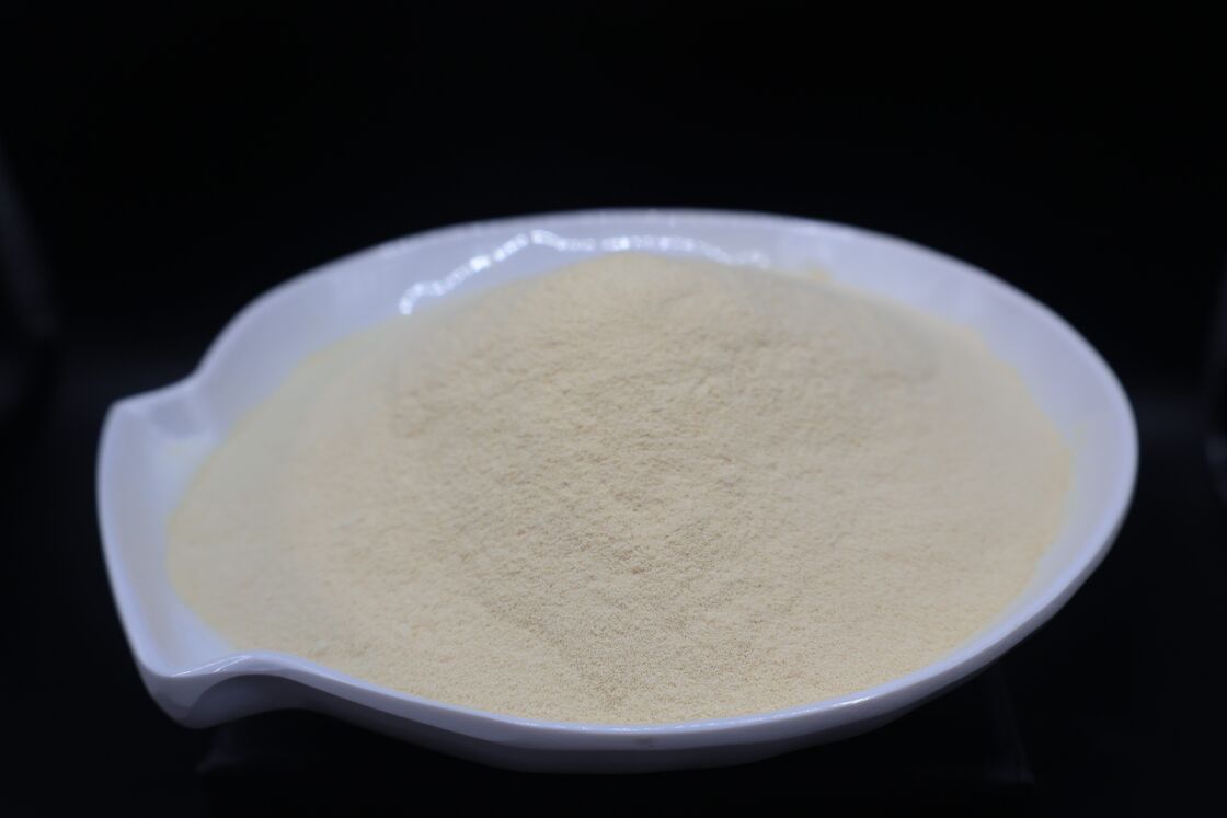 Stabilized Enzyme Amino Acid Preparation for Enhanced Nutrient Absorption and Optimal Digestive Support with Muscle Recovery Aid