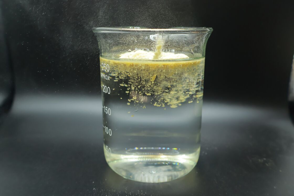 Enzyme Amino Acid Supplement for Enhanced Nutrient Absorption, Muscle Recovery, and Gut Health