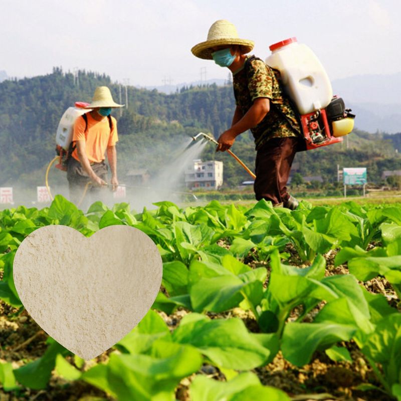High Organic Carbon Enzymatic Amino Acid Powder Fertilizer 85%