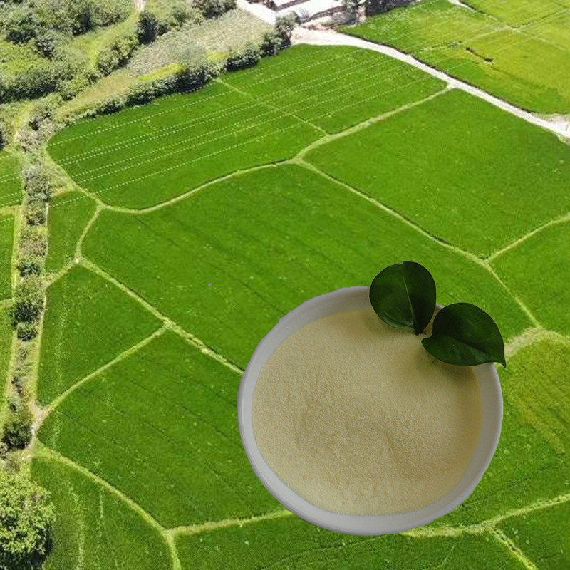 OMRI list soy protein hydrolysate amino acid nitrogen16 Amino Acid Powder 85% Agriculture